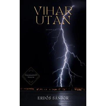 Erdős Sándor: Vihar után (e-könyv)