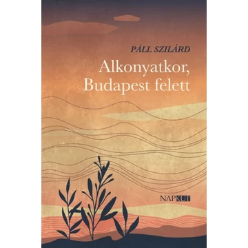 Páll Szilárd: Alkonyatkor, Budapest felett